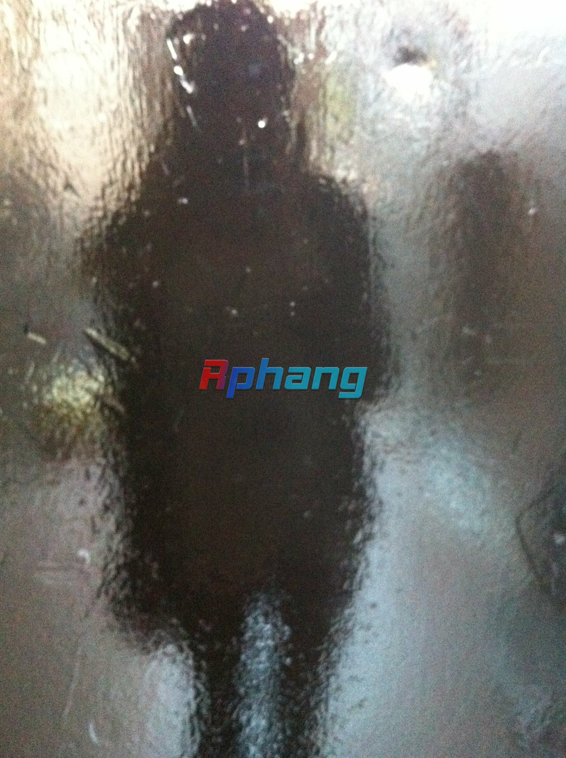 My Photo_7.jpg