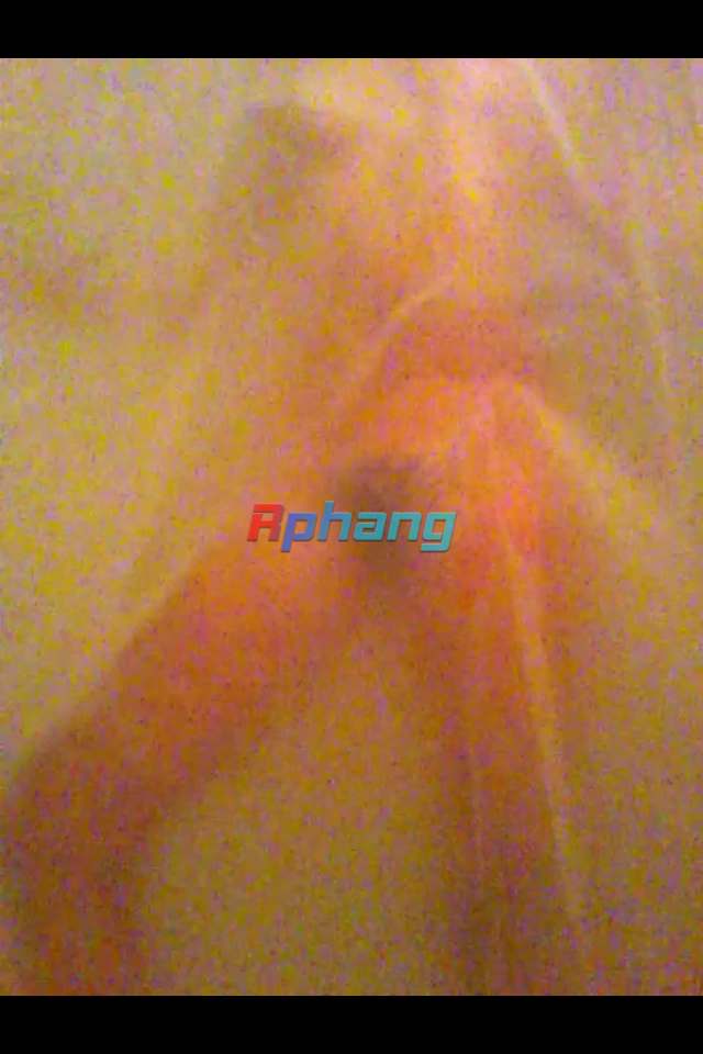 My Photo_75.png