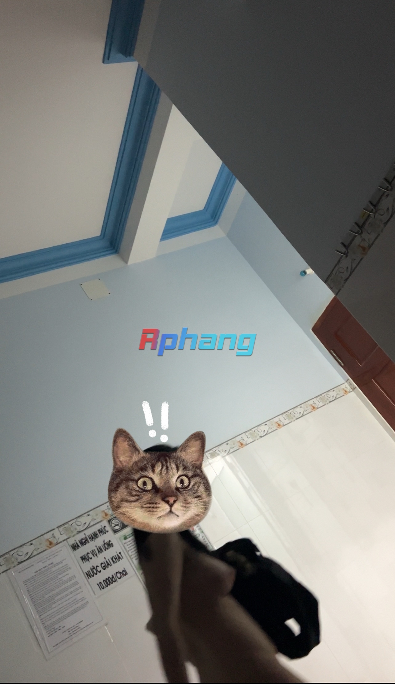 IMG_3165.jpeg