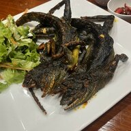 chơi cho vui 2