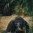 Crazy_man9284