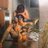 Đồng dâm 6969
