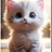 Jonh_Henry